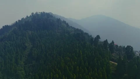 4K drone footage of the lush pine forests of Lepchajagat near Darjeeling Stock Footage 341922592
