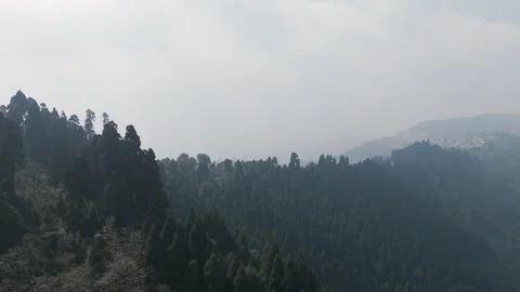 4K drone footage of the lush pine forests of Lepchajagat near Darjeeling Stock Footage 341922821