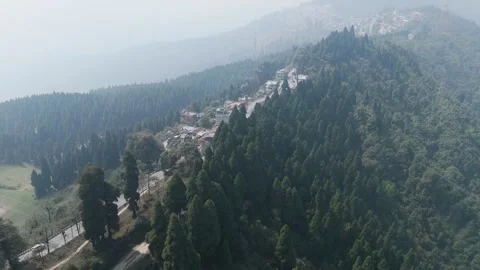 4K drone footage of the lush pine forests of Lepchajagat near Darjeeling. Stock Footage 341962041