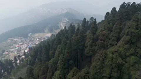 4K drone footage of the lush pine forests of Lepchajagat near Darjeeling Stock Footage 341963734