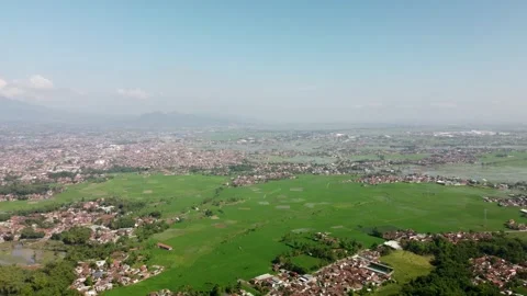 4K Drone Forward Flight Over Green Rice Fields and Rural Town Horizon Stock Footage 315229071