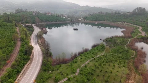 4K Drone Forward Flight on Road Toward Lake, Green Landscape, Passing Cars Stock Footage 335773488