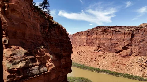 4K Drone Lone Tree on A Ledge Over the Upper Colorado River Scenic Byway Stock-Footage 313517211
