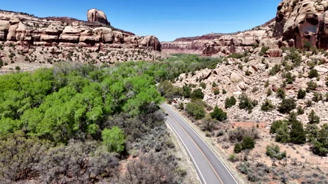 4K Drone The Lush Green Trees of Indian Creek in Spring Stock-Footage 313659806