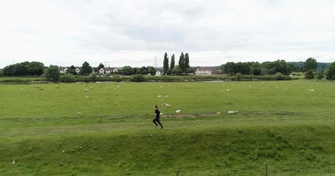 4K Drone of Man running alongside a Lake and Green Grass Field. British Country Stock Footage 91232124