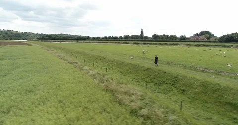 4K Drone of Man running alongside Sheep, Lake and Green Grass Fields. Britian Stock Footage 91232489
