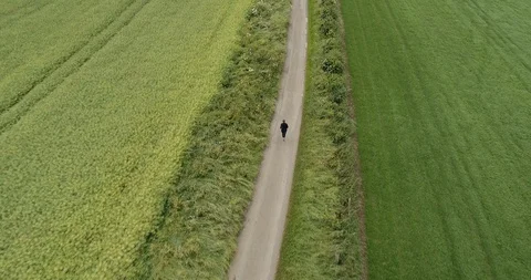 4K Drone of A Man Running on a Path  through Trees and Green Grass Fields. Stock Footage 91230267