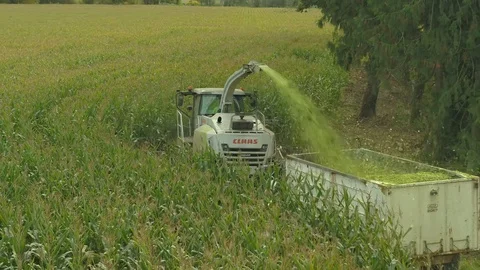 4K drone moving over corn field combine harvester aerial view of a farmer Stock Footage 120327383