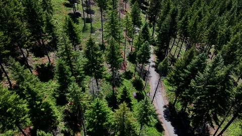 4K Drone NF-25 Below the Mountains, Rogue-Siskyou National Forest Video stock 313381189
