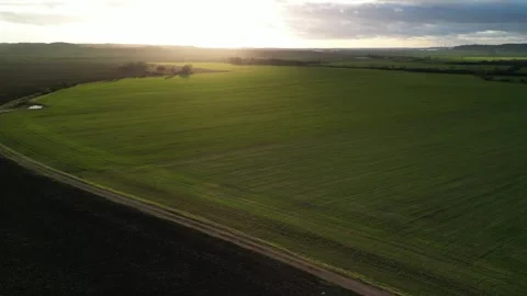 4K Drone over field Stock Footage 261976165