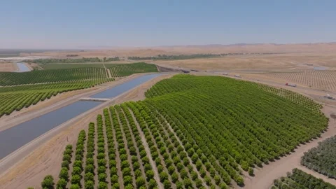 4K Drone Overhead of Interstate 5 in Central Valley, California Stock Footage 316795194