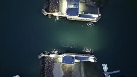 4k drone overhead pointing down following harbor barrier Stock Footage 291236710