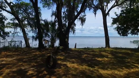 4K Drone Panning Through Trees Looking Out at Water Video stock 109356755