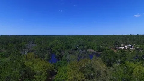 4K Drone Raising Over Forest and Lake Stock Footage 109230800