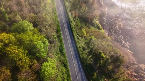 4K Drone Reveals Coast, Forest and Road as Fog Clears Stock-Footage 339286072