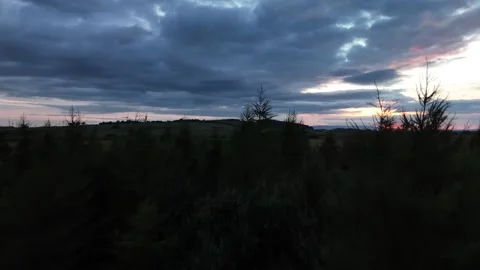 4K drone rising above trees revealing sunset light and cloudy sky 스톡 동영상 332679319