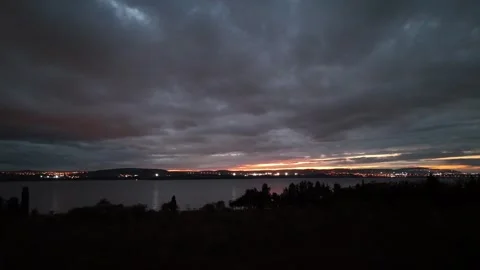 4K Drone Rising Over Windy Sea and Pine Trees at Dusk Stock Footage 319842005