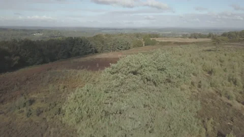 4K Drone Shot in Ashdown Forest Stock Footage 149510599