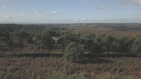4K Drone Shot Ashdown Forest Stock Footage 149544947