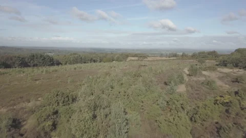 4K Drone Shot Ashdown Forest Stock Footage 149545226