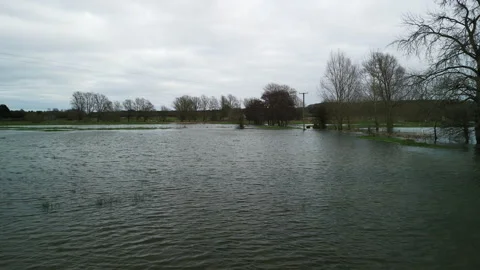 4K Drone Shot Flying Low Over Flooded Fields in Winter, Norfolk, England Video stock 328519812