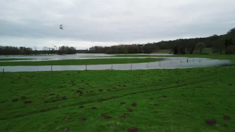 4K Drone Shot Flying Low Over Flooded Fields with Birds, Rising to Reveal Floods Video stock 328582918
