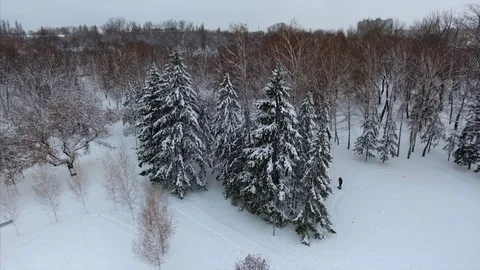 4K The drone shot that is flying up making general plan of the winter par with Vidéo 102579200