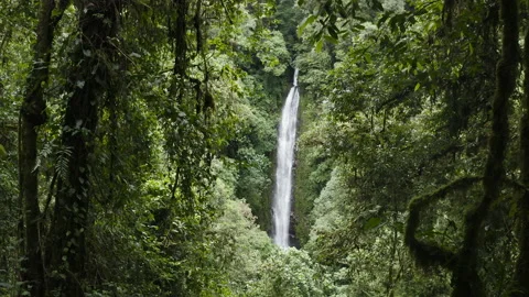 4K Drone Shot Large Waterfall in the Rainforest Stock Footage 139870603