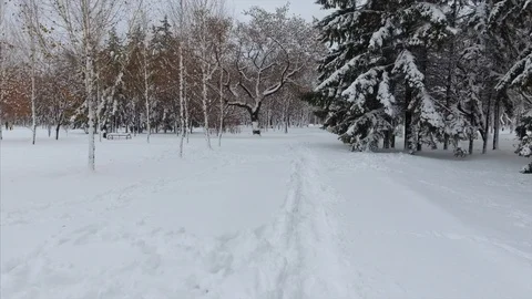 4K The drone shot at the low altitude going along the beat path 库存影片 102575317
