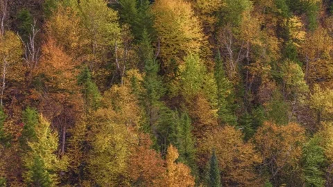 4K Drone Shot of a Mountain Covered in a Fall Forest in Schroon, Adirondack Park Stock Footage 306197006