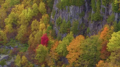 4K Drone Shot of a Mountain Covered in a Fall Forest in Schroon, Adirondack Park Stock Footage 306197346