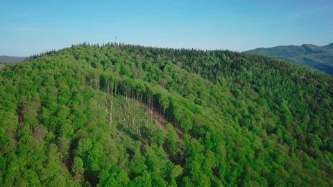 4k drone shot. Moving forward to pine woods forest and mountain valley in summer Stock Footage 92128413