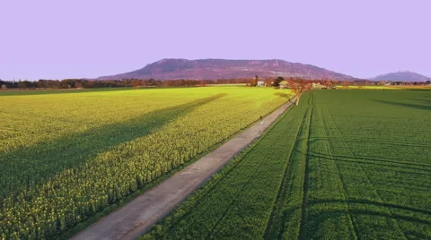 4k drone shot in nature at springtime Stock-Footage 62306494