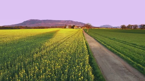 4k drone shot in nature at springtime Stock Footage 62308968