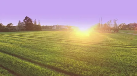 4k drone shot in nature at springtime Stockbeeldmateriaal 62309683