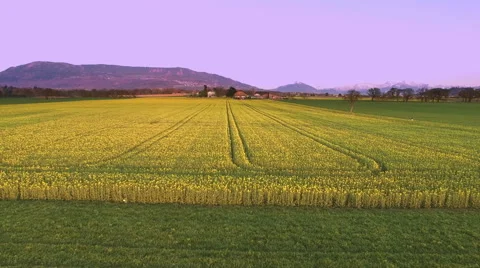 4k drone shot in nature at springtime Stock Footage 62391114