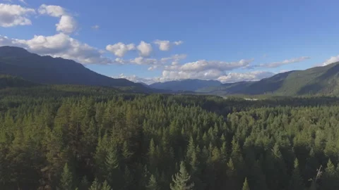4K Drone Shot over forest in the mountains Stock Footage 149510840