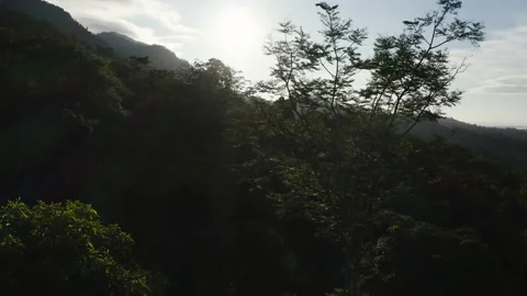 4K Drone Shot of Rainforest Stock Footage 139869692
