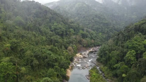 4k Drone shot of rainforest in Laos Stock Footage 279855321