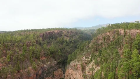 4K drone shot of steep cliffs of Barranco del Infierno, Tenerife, Canary Islands Stock Footage 197406846