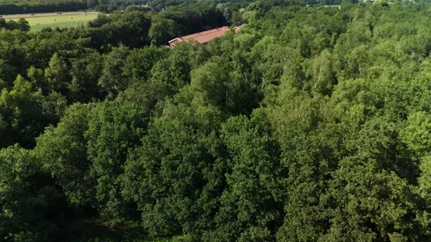 4K Drone Shot of Summer Fields and Forests in the Netherlands 動画素材 317401261