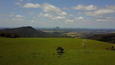 4k Drone Stunning Hinterland Tree on a Hill Stock Footage 124313887