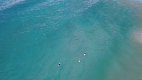 4K Drone Surfer Paddling Over Clear Blue Ocean Seabed Stock Footage 331632175