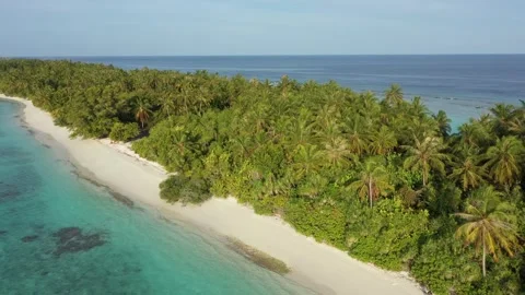 4K drone towards the palm trees along the coast of Dhigura, Maldives Видео 298047515