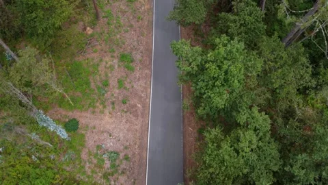 4K drone vertical overhead shot (top-down) of a narrow, secluded road running Stockbeeldmateriaal 321798611