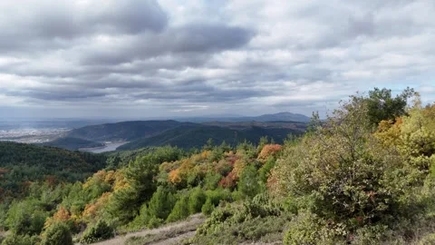 4k drone video of autumn Stock Footage 295433558