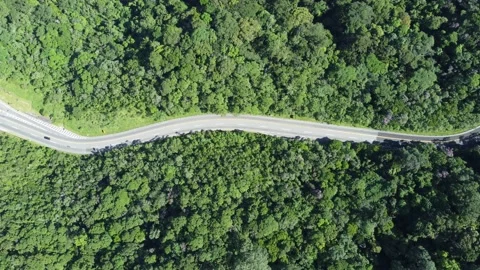 4K drone video capturing an aerial view of the winding highway Stock Footage 238468002