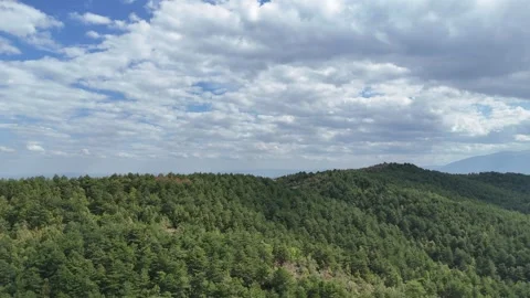 4k Drone Video, flying over the mountain peak covered by pine tree forest. Stock Footage 286050531