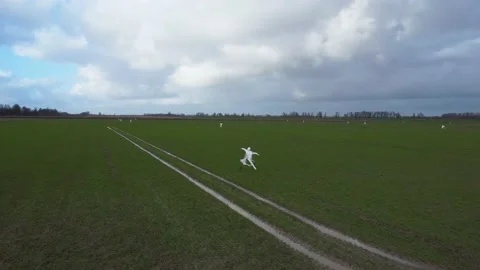 4k drone video made of scarecrows on the dutch meadows Video stock 168255589