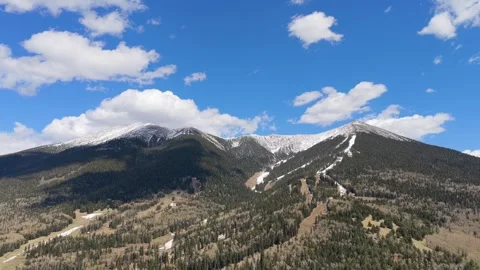 4K Drone Video of Pine Forest and Snowy Slopes on an Arizona Ski Mountain Stockbeeldmateriaal 335002539